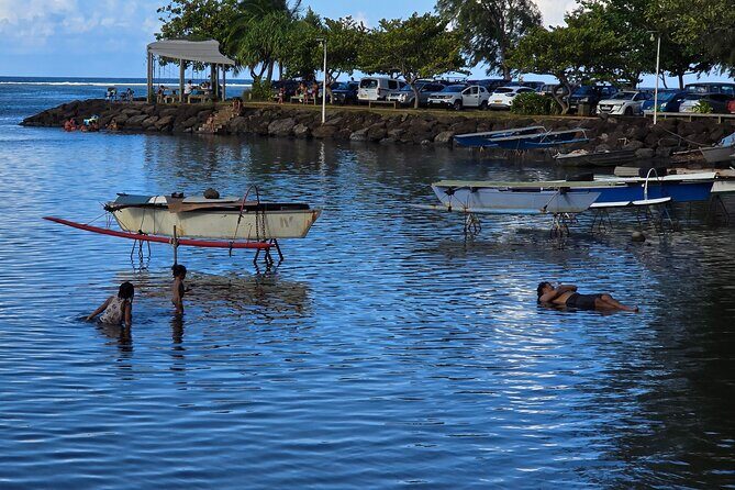 Small Group Shared Half Day Tahiti Tour Waterfalls&Scenic Coast - Who Is This Tour Best For?
