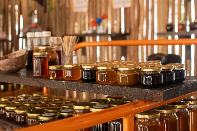 Small Group Shared Jeep Island Tour Mayan Park Cenote and Beach - Authentic Tips from Reviewers