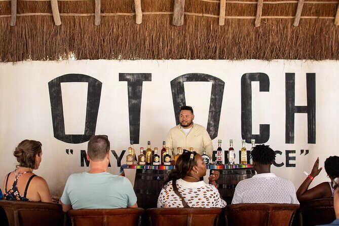 Small Group Shared Jeep Island Tour Mayan Park Cenote and Beach - The Sum Up