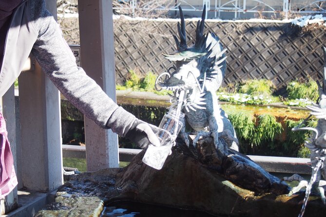 Small Group Sightseeing Tour Visit to Toyama With Lunch Included - Tour Overview