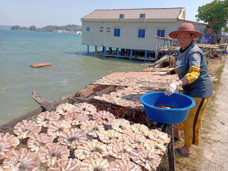 Small Group Sihanoukville Exploration from Cruise Pier - A Deep Dive into the Sihanoukville Experience