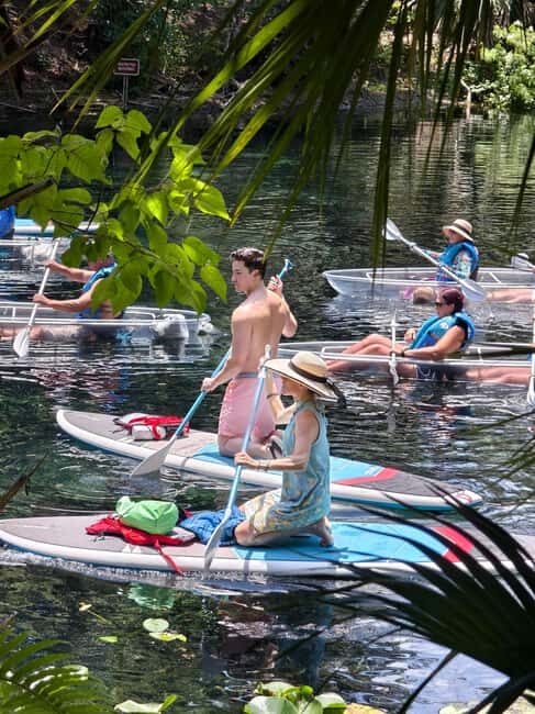 Small Group Silver Springs State Park Day Tour from Orlando - The Itinerary: What to Expect on Your Day at Silver Springs