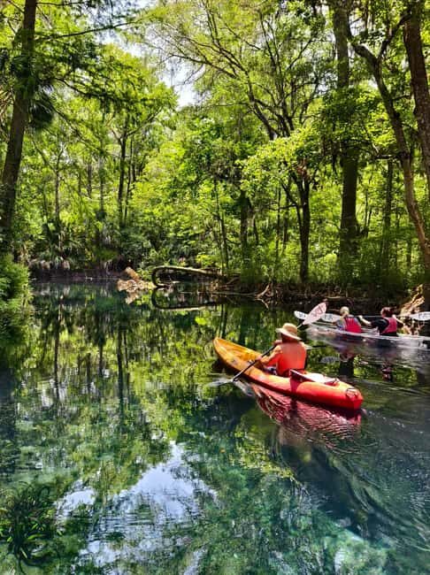 Small Group Silver Springs State Park Day Tour from Orlando - Transportation and Convenience