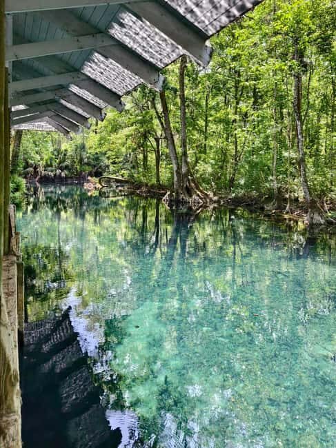 Small Group Silver Springs State Park Day Tour from Orlando - Who Should Consider This Tour?