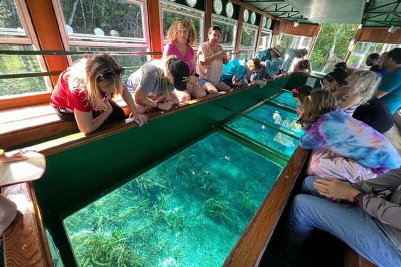 Small Group Silver Springs State Park Day Tour from Orlando - The Sum Up: Why You Should Consider This Tour