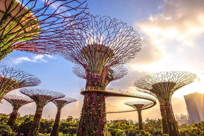 Small Group Singapore Morning City Tour with Gardens By The Bay - A Deep Dive into the Experience
