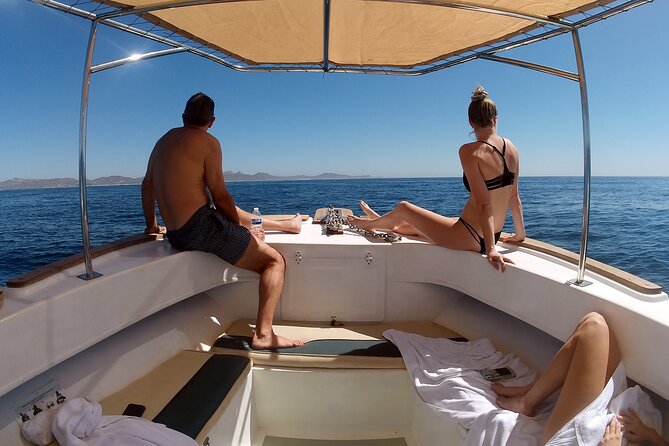 Small-Group Snorkel Adventure in San Jose Del Cabo - Common Questions