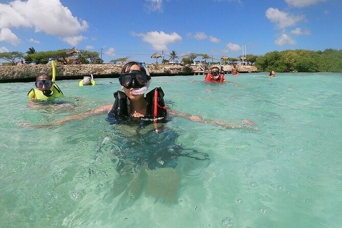 Small Group Snorkeling at Mangel Halto Aruba - What Travelers Love About This Experience