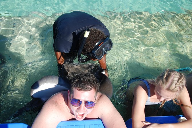 Small Group Snorkeling, Sharks & Rays Encounter At Punta Cana - Traveler Reviews