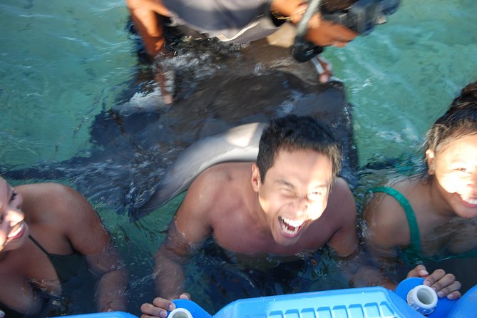 Small Group Snorkeling, Sharks & Rays Encounter At Punta Cana - Common Questions