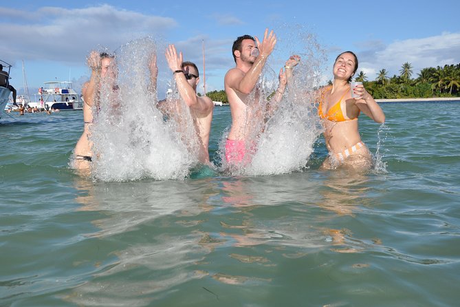Small Group Snorkeling, Sharks & Stingrays Encounter by Boat - Reviews and Cancellation Policy