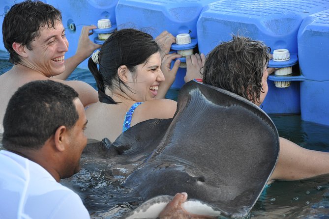 Small Group Snorkeling, Sharks & Stingrays Encounter by Boat - The Sum Up