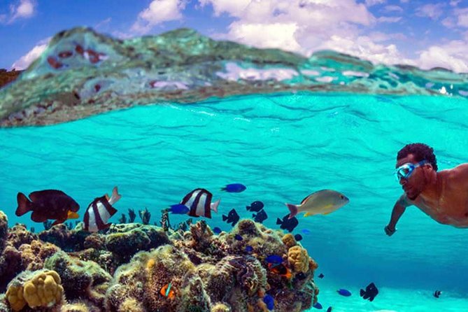 Small-Group Snorkeling Tour of Off-Shore Wrecks, Tahiti - Cancellation Policy and Traveler Reviews