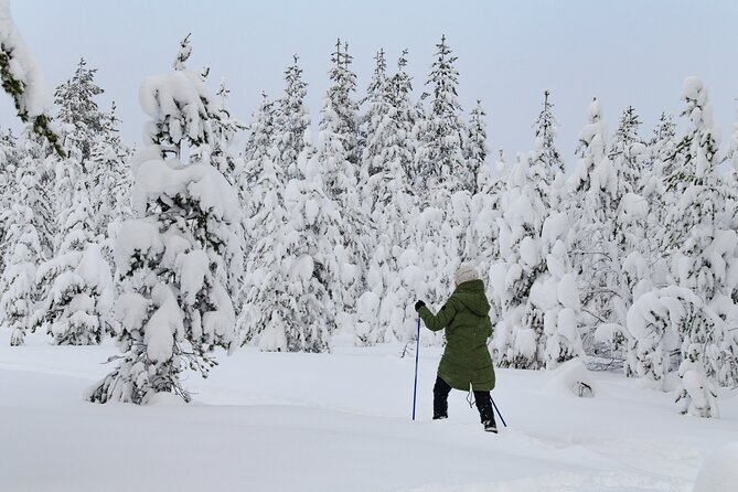 Small-Group Snowshoeing Adventure In Lapland - Good To Know