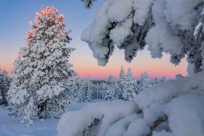 Small-Group Snowshoeing Adventure In Lapland - What to Expect