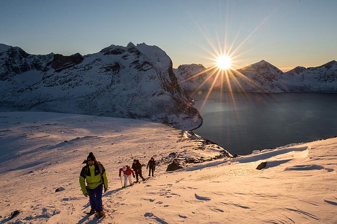 Small-Group Snowshoeing Tour From Tromso - Inclusions and Logistics