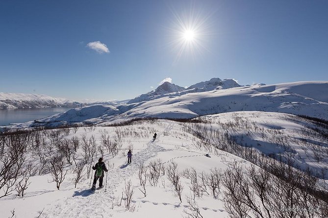 Small-Group Snowshoeing Tour From Tromso - Wildlife Spotting Opportunities