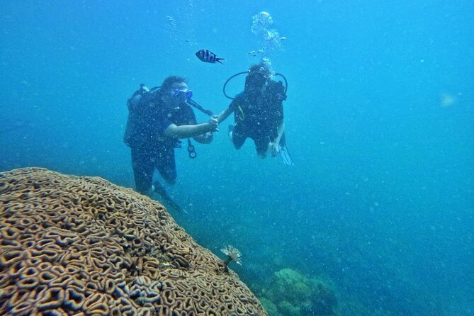 Small-Group Speedboat & Snorkeling Tour, Phu Quoc - Snorkeling Locations