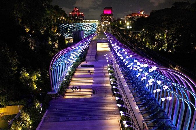 (Small Group) Starry Night Singapore Sentosa Tour - Why Choose This Tour?
