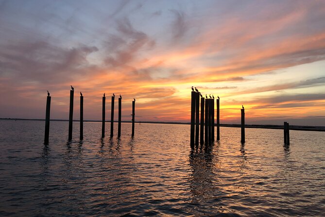 Small-Group Sunset Boat Tour Around Chincoteague & Assateague Islands - Island Highlights