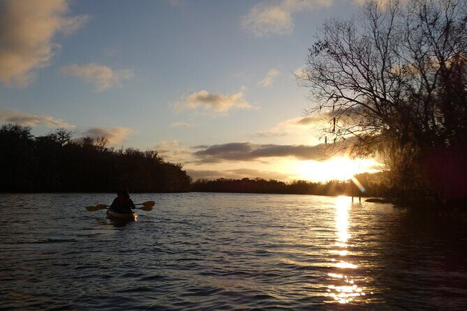 Small Group Sunset Paddle Among Manatees near Orlando - Good To Know