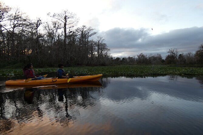 Small Group Sunset Paddle Among Manatees near Orlando - Similar Experiences