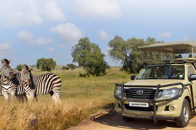 Small-Group Super Saver Combo Tour: Cape Point, African Penguins & Wine Tasting - The Sum Up