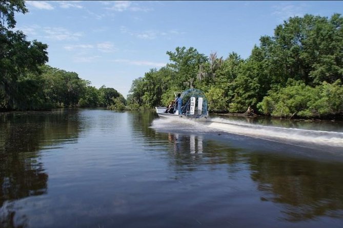 Small-Group Swamp Tour by Airboat With Downtown New Orleans Pickup - Environmental Concerns in the Swamp