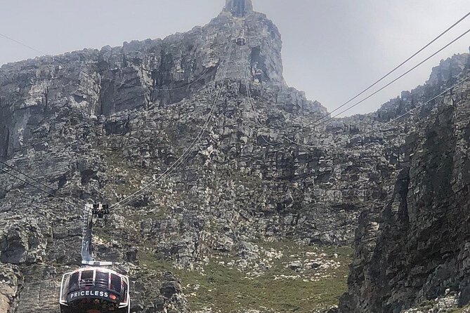 Small Group Table Mountain Penguin Colony and Cape Point Tour - Tour Details