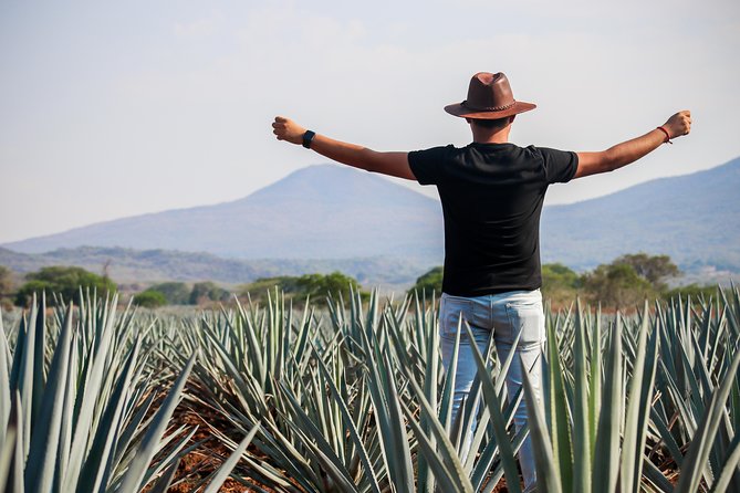 Small Group Tequila City Tour and Tasting From Guadalajara - Traveler Reviews