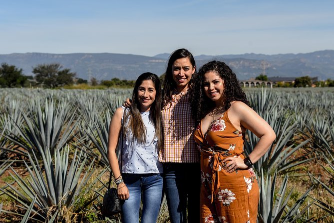 Small Group Tequila City Tour and Tasting From Guadalajara - The Sum Up