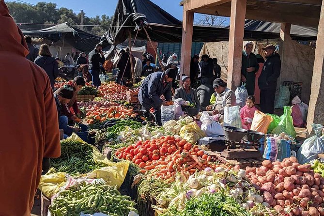 Small Group to Atlas Mountains 4valleys;Waterfulls and Camel Ride Experience - Inclusions and Exclusions