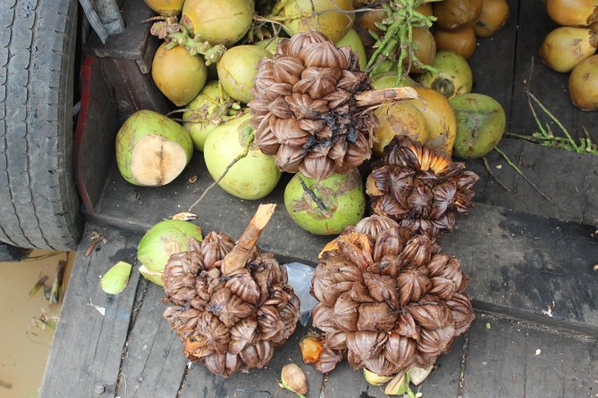 Small Group To Mekong Delta 1 Day - Common Questions