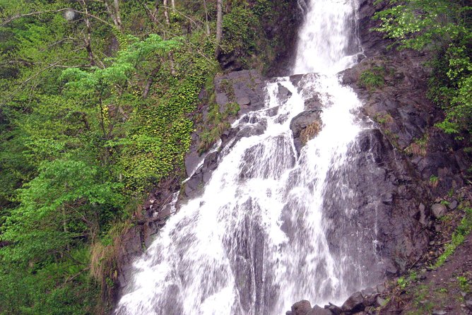 Small Group Tour: 4 Days in the Highlands of Georgia From Tbilisi - The Sum Up