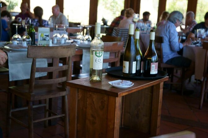 Small-Group Tour at Matetic Vineyard in Rosario Valley From Santiago - Tour Details