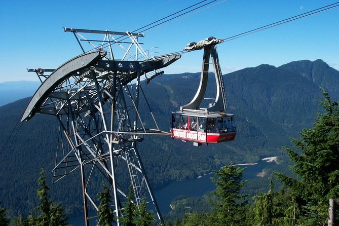 Small Group Tour: Capilano Suspension Bridge and Grouse Mountain From Vancouver - Pricing and Booking