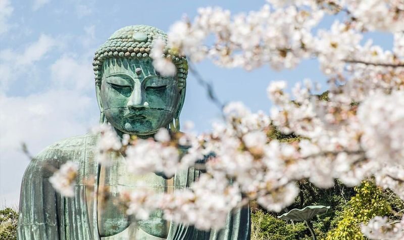 Small group tour for 9 people | One-day tour of Kamakura and Enoshima | Includes Enoden experience & Enoshima & Kamakurakoko-mae Station & Kamakura Great Buddha & Tsurugaoka Hachimangu Shrine | Round trip from Tokyo | Hotel pick-up and drop-off + Chinese - Komachi Street and Tsurugaoka Hachimangu: Kamakura on foot