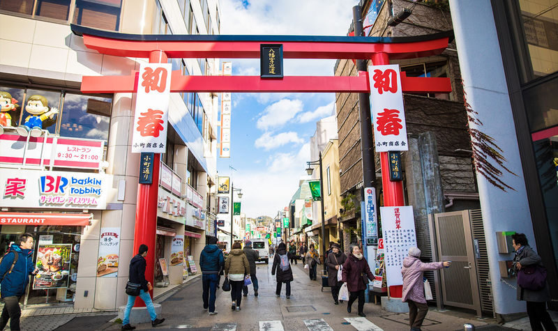 Small group tour for 9 people | One-day tour of Kamakura and Enoshima | Includes Enoden experience & Enoshima & Kamakurakoko-mae Station & Kamakura Great Buddha & Tsurugaoka Hachimangu Shrine | Round trip from Tokyo | Hotel pick-up and drop-off + Chinese - Should you book this Kamakura and Enoshima day trip?