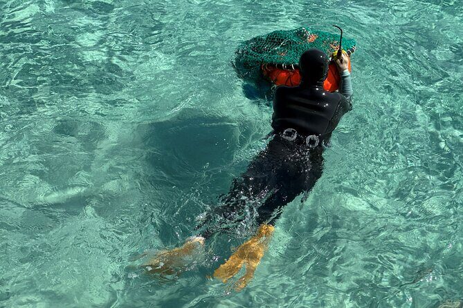 Small Group Tour for Jeju Autumn Snoopy Garden and Tangerine Cafe - Who Is This Tour Best For?