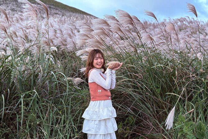 Small Group Tour for Jeju Fall Pink Muhly, Tangerines & Mt. Halla - FAQ