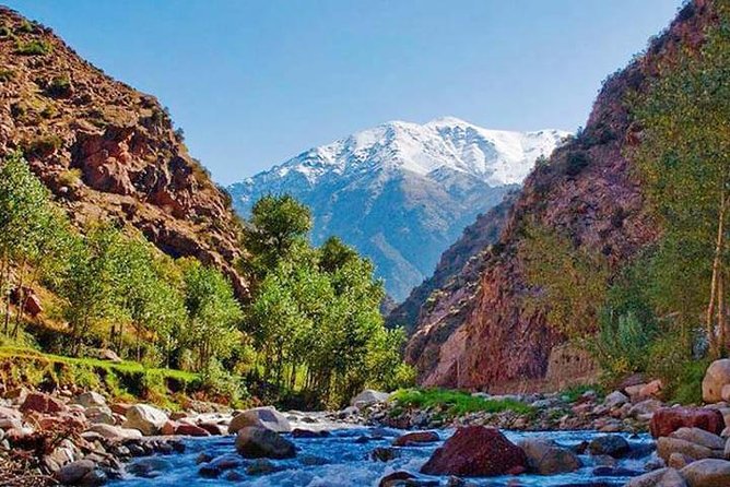 Small-Group Tour From Marrakech to the Atlas Mountains - Reviews and Ratings Overview
