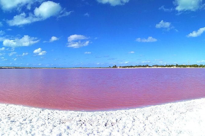 Small-Group Tour From Mérida to Chichén Itzá, Cenote and Lagoon  - Merida - Tour Guide and Driver