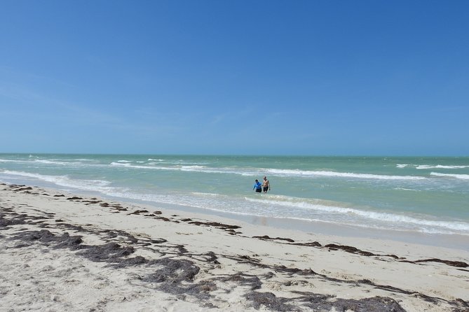 Small-Group Tour From Mérida to Chichén Itzá, Cenote and Lagoon  - Merida - Positive Reviews From Travelers