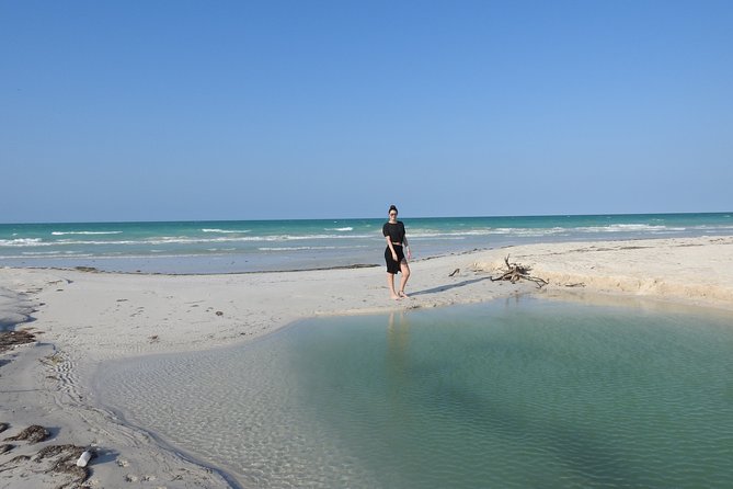 Small-Group Tour From Mérida to Chichén Itzá, Cenote and Lagoon  - Merida - Overall Rating and Testimonials