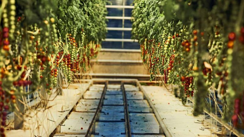 Small Group tour from Reykjavik: Golden Circle with 7 Stops - Good To Know