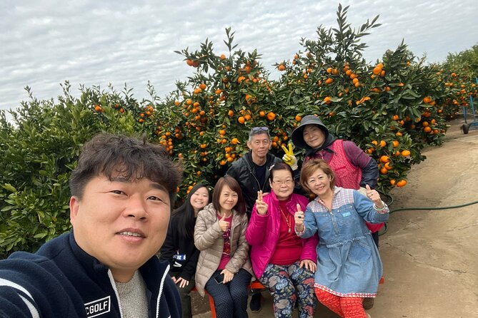 Small Group Tour FULL - PACKAGE Tour to All Areas in Jeju Island - Good To Know