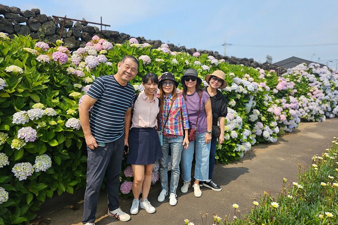 Small Group Tour FULL - PACKAGE Tour to All Areas in Jeju Island - Price and Booking