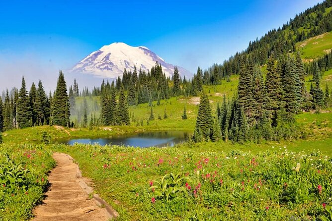 Small Group Tour in Mt Rainier With Air-Conditioned Van Transfer - Small Group Size Advantage