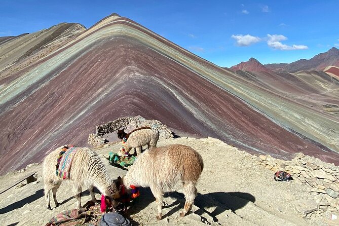 Small Group Tour in Rainbow Mountain From Cusco - Traveler Photos and Reviews