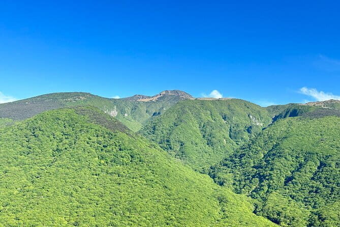 Small Group Tour in South Jeju Healing Island w/Mt. Halla & Falls - Final Thoughts
